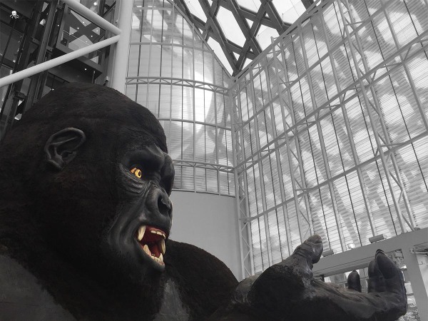 Décor King Kong Malgorzata Szczęśniak Opéra L'Affaire Makropoulos Exposition Centre Pompidou-Metz